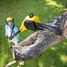 Best Lawn Watering Services  in Stuttgt, AR